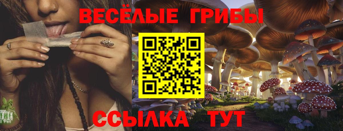 где купить   Вход с VPN  Сафоново  Галлюциногенные грибы Cubensis 